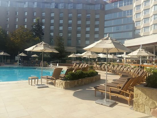 source of the Nile hotel